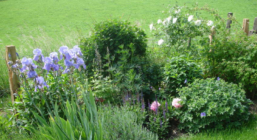 Ländlicher Garten